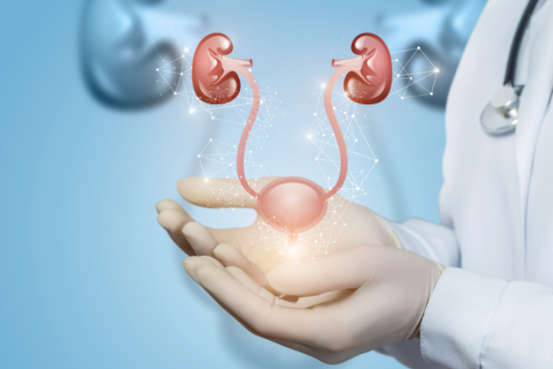 Lawrence Aseba Tipo explica os principais sintomas, causas e estratégias eficazes para prevenir a infecção urinária.