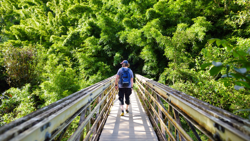 Experiências em regiões desafiadoras moldam gestores mais conscientes e eficientes, afirma Alfredo Moreira Filho.