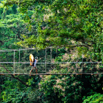 Decisões corporativas ganham força quando a vivência amazônica inspira visão estratégica, destaca Alfredo Moreira Filho.