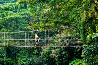 Decisões corporativas ganham força quando a vivência amazônica inspira visão estratégica, destaca Alfredo Moreira Filho.