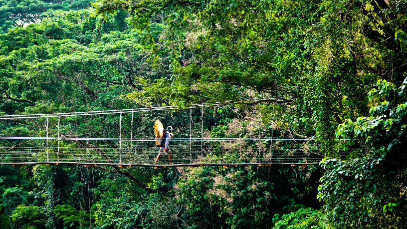 Decisões corporativas ganham força quando a vivência amazônica inspira visão estratégica, destaca Alfredo Moreira Filho.