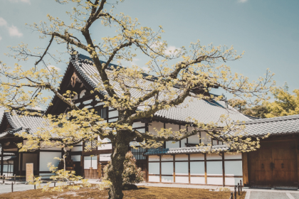 Entre templos ancestrais e linhas contemporâneas, Alberto Toshio Murakami revela como a arte e a arquitetura japonesa unem tradição e design moderno.