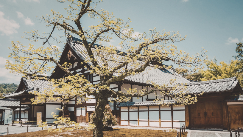 Entre templos ancestrais e linhas contemporâneas, Alberto Toshio Murakami revela como a arte e a arquitetura japonesa unem tradição e design moderno.